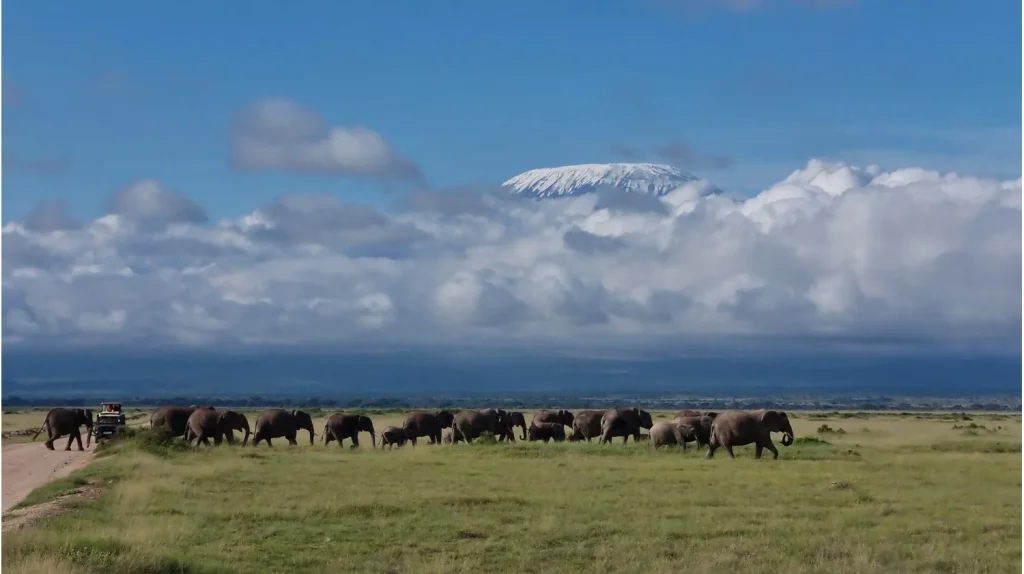 Amboseli
